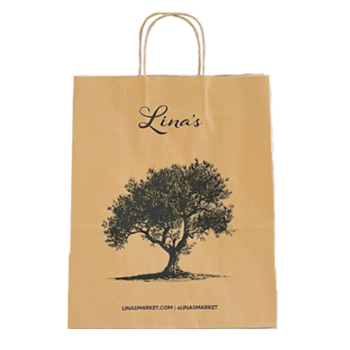 Paper bag with twisted handle