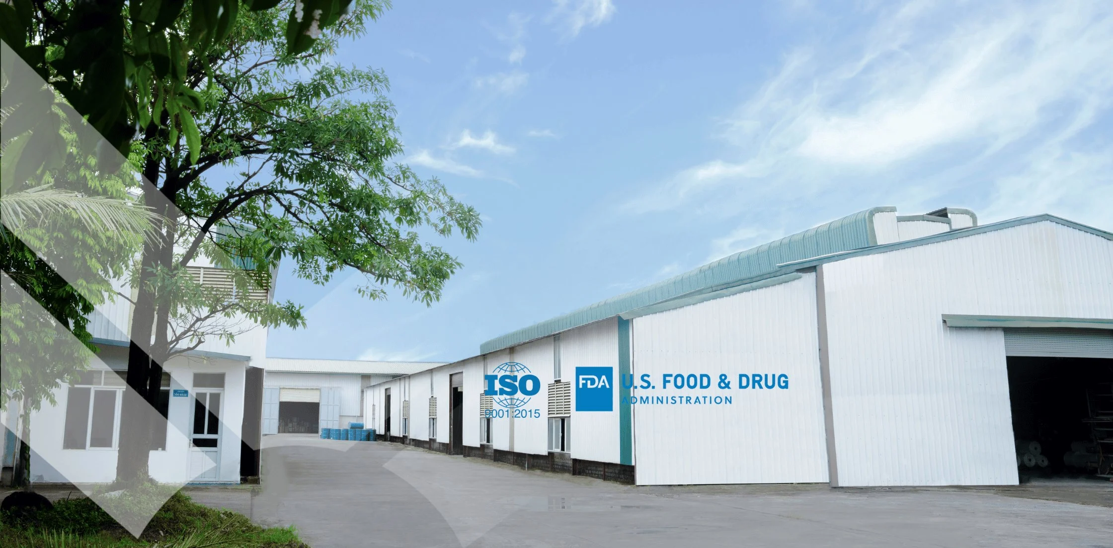 VNK_s-plastic-bags-manufacturer